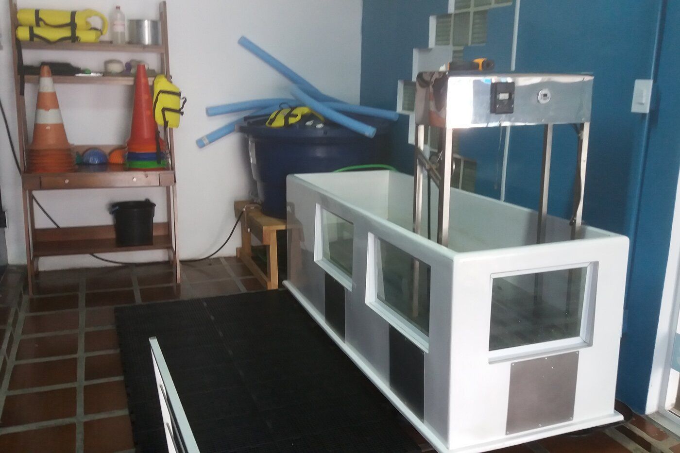 Banho e Tosa na Zootopet, Buritis